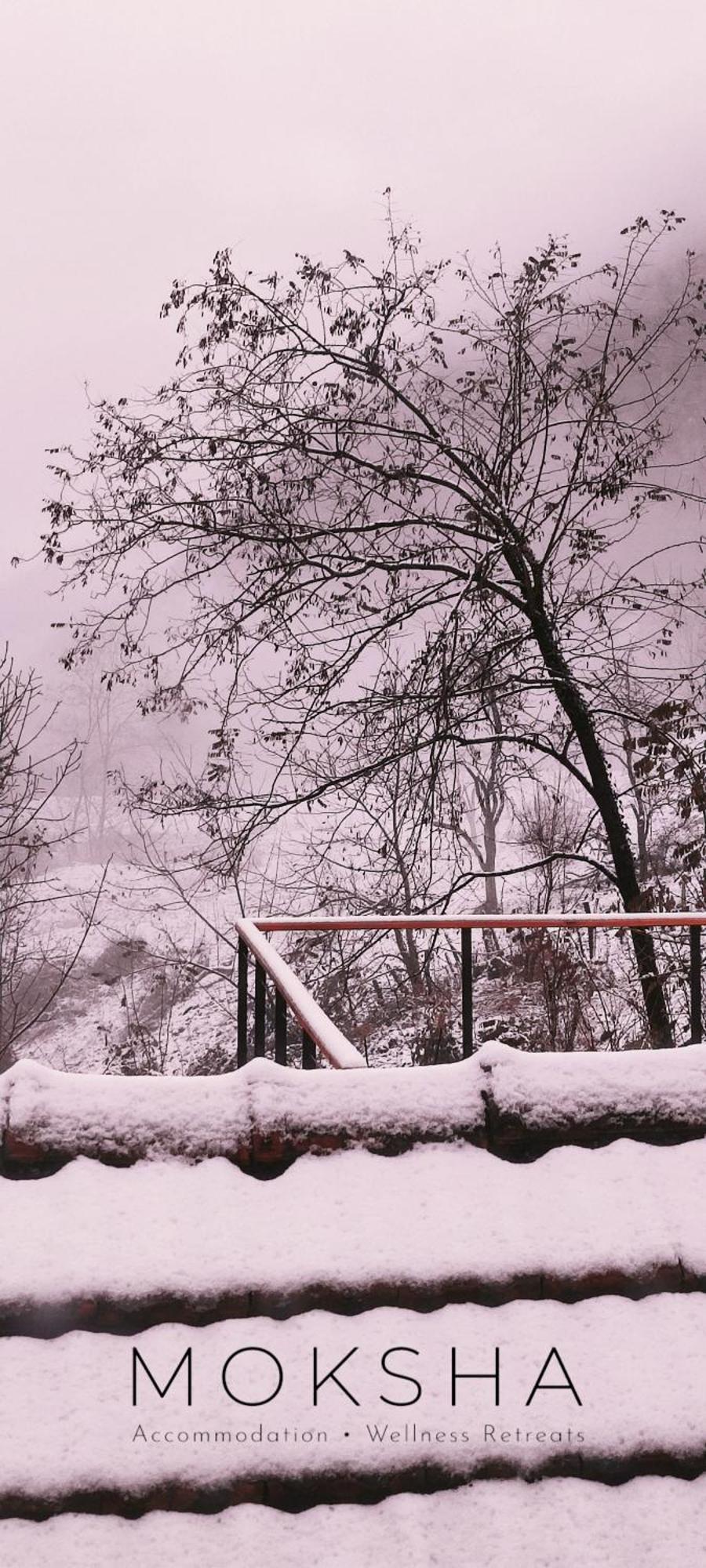 Moksha Slovenia Tolmin Exterior foto